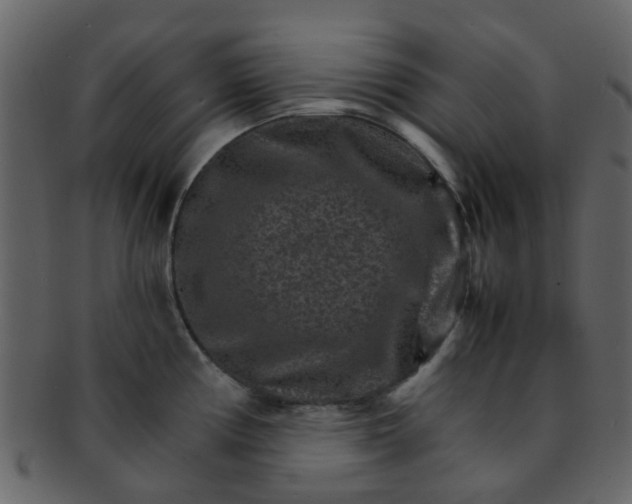 X0000093151194200710171344