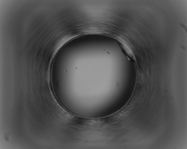 X0000093151195200710171344