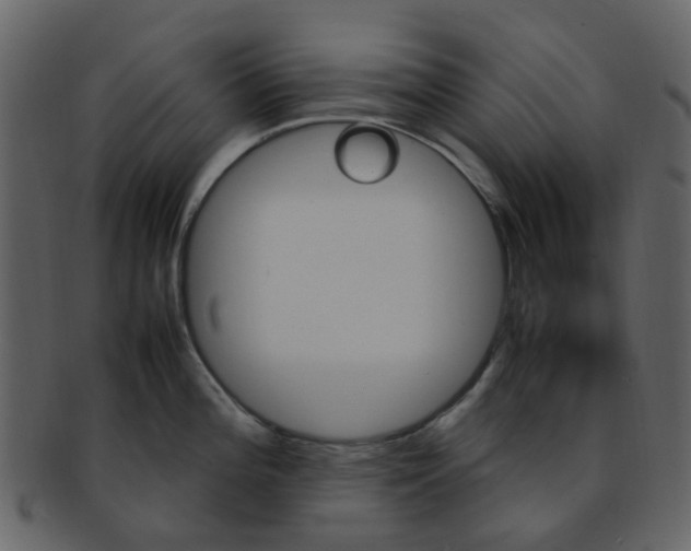 X0000093151196200710171344