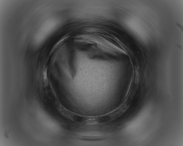 X0000093151198200710171344