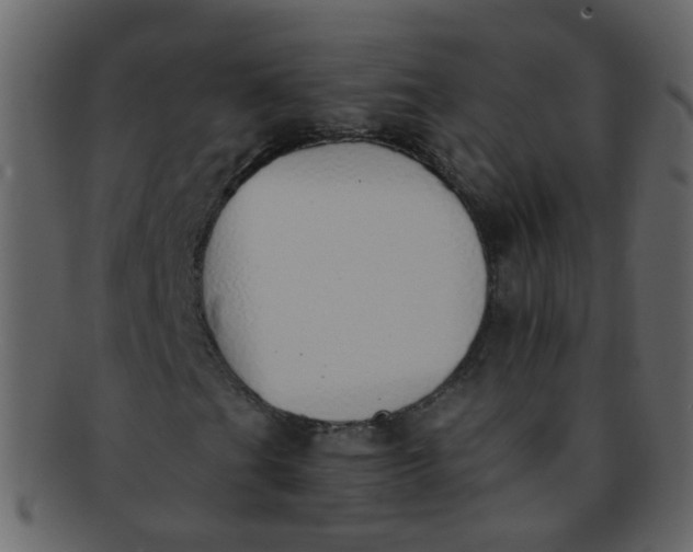 X0000093151201200710171343