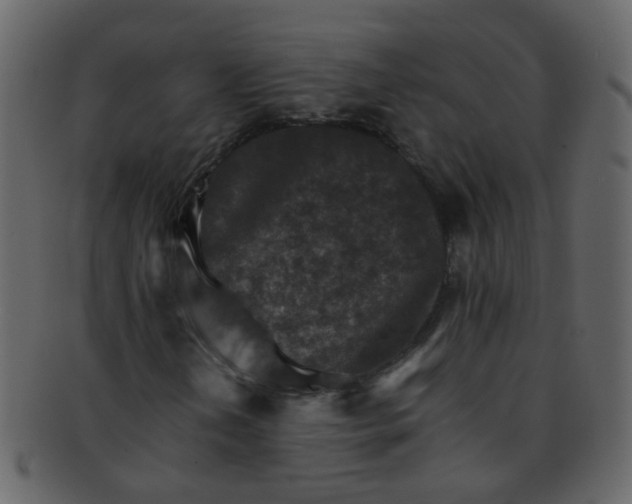 X0000093151202200710171343