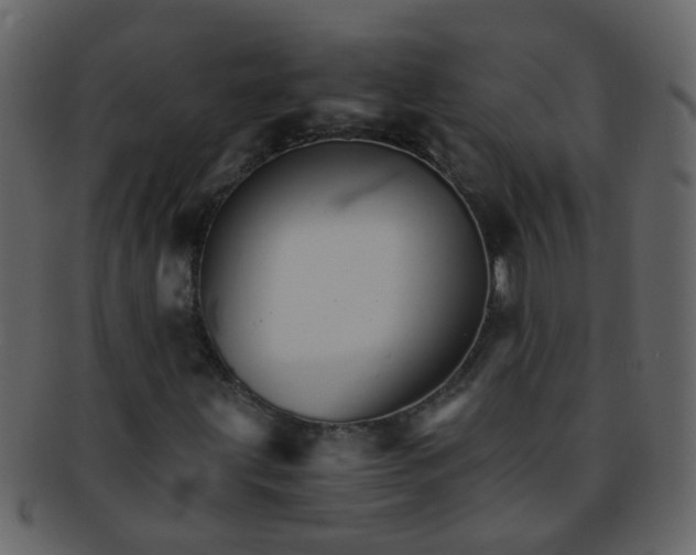 X0000093151203200710171343