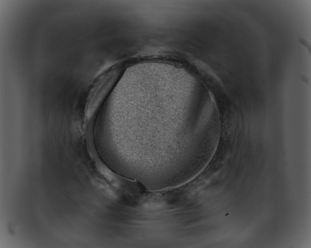 X0000093151206200710171343