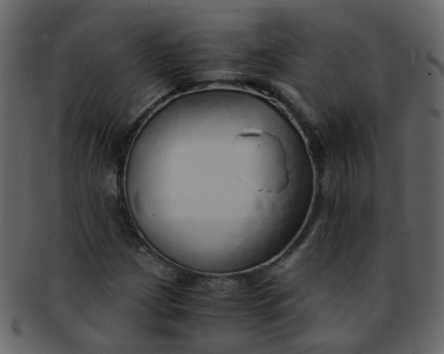 X0000093151209200710171343