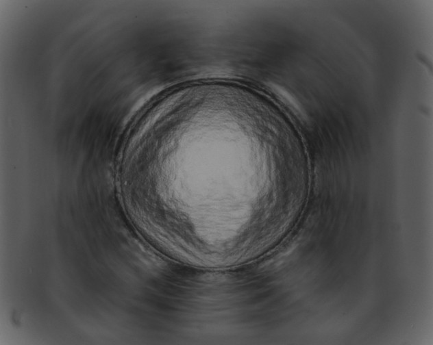 X0000093151212200710171343