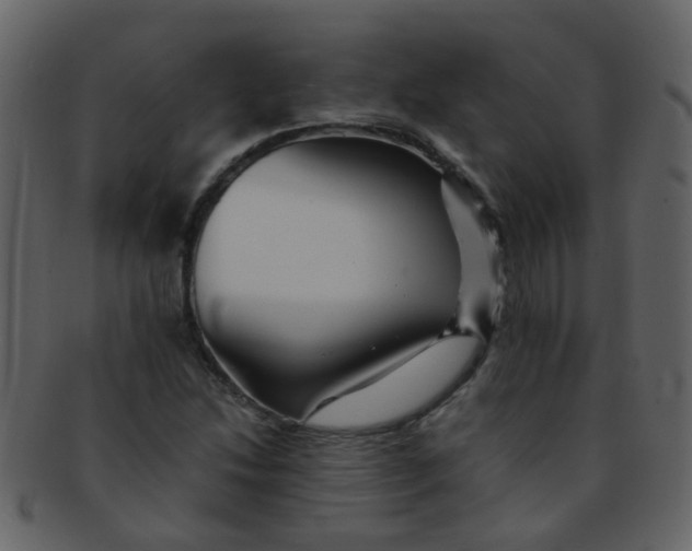 X0000093151214200710171343