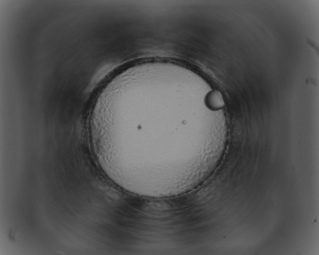 X0000093151215200710171343