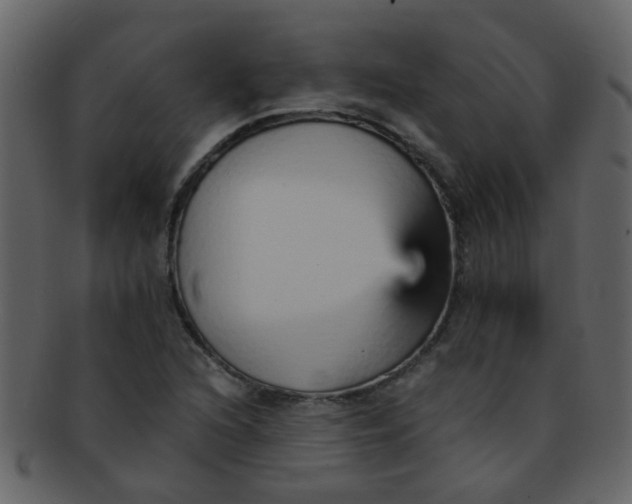 X0000093151216200710171343