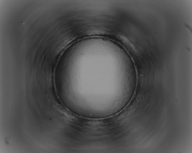 X0000093151217200710171343