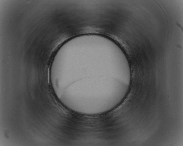 X0000093151219200710171343