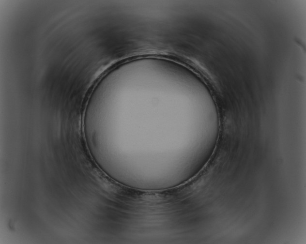 X0000093151220200710171343