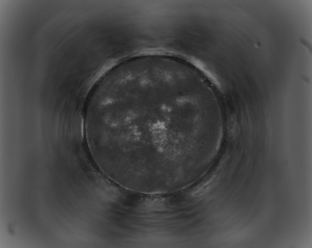 X0000093151221200710171343