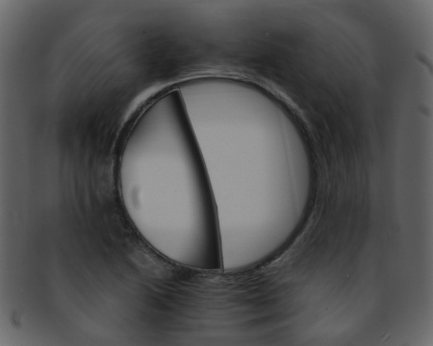 X0000093151222200710171343