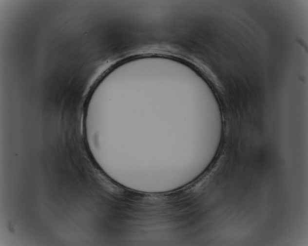 X0000093151224200710171343