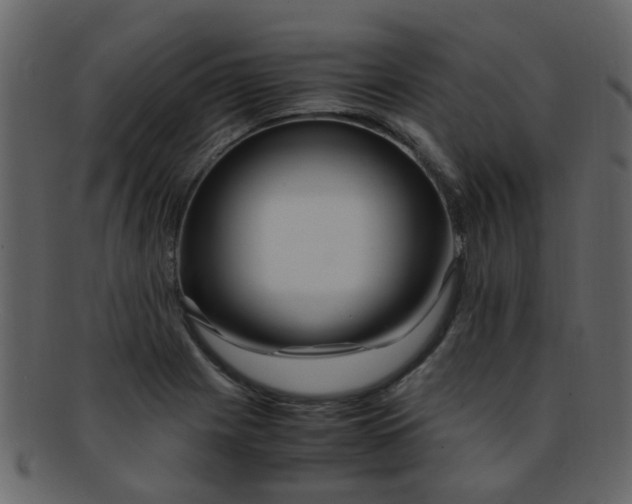 X0000093151225200710171343