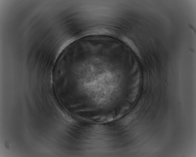 X0000093151226200710171343