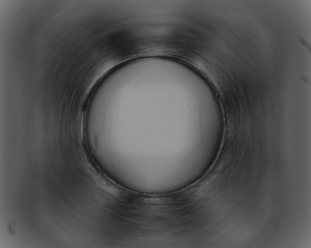 X0000093151227200710171343