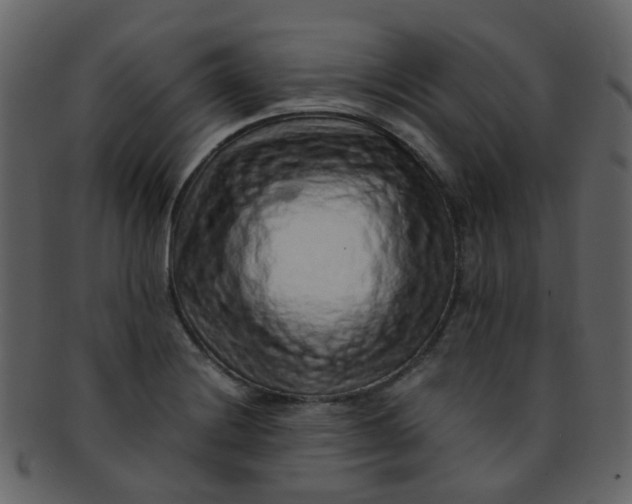 X0000093151228200710171343