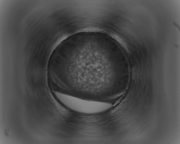 X0000093151229200710171343