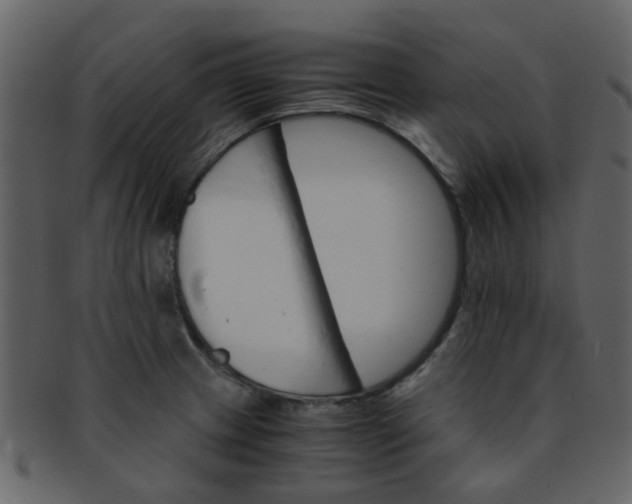 X0000093151233200710171344