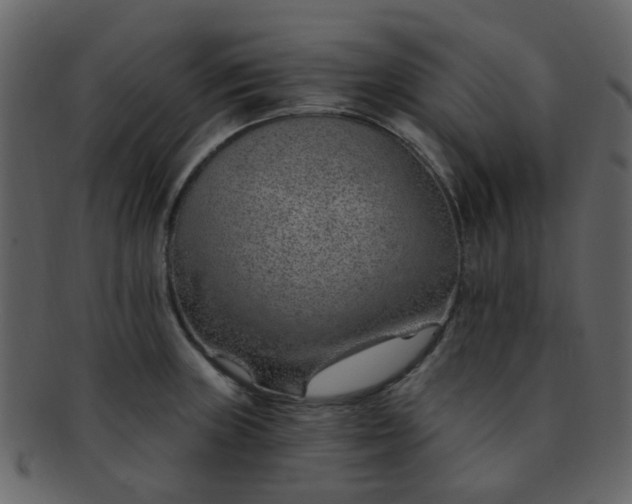 X0000093151235200710171344