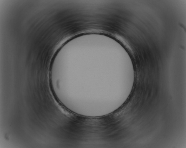 X0000093151237200710171344