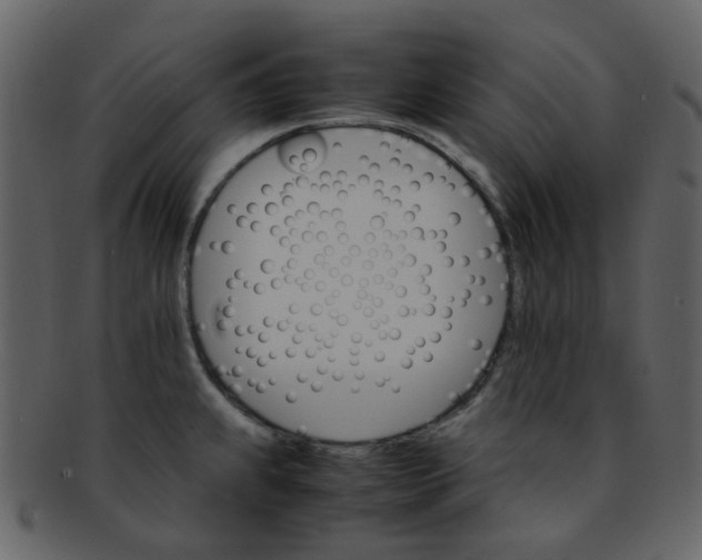 X0000093151239200710171344