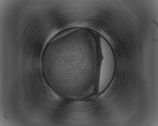 X0000093151240200710171344