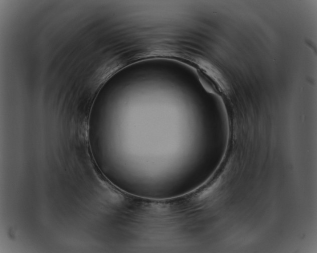 X0000093151241200710171344