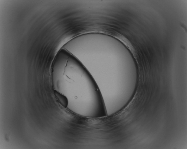 X0000093151242200710171344