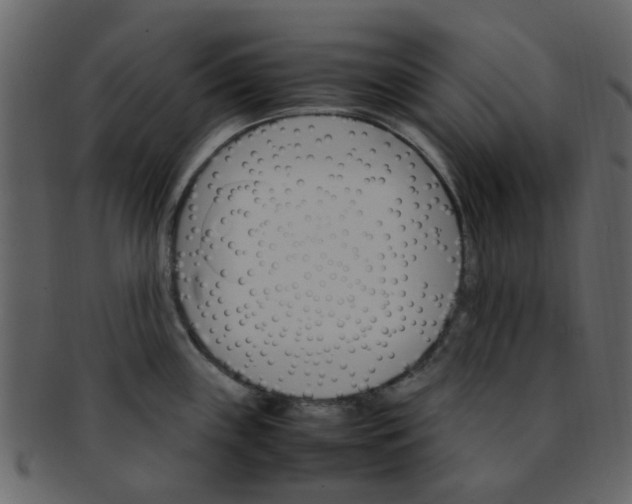 X0000093151243200710171344