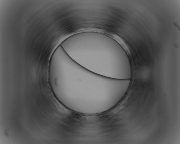 X0000093151244200710171344