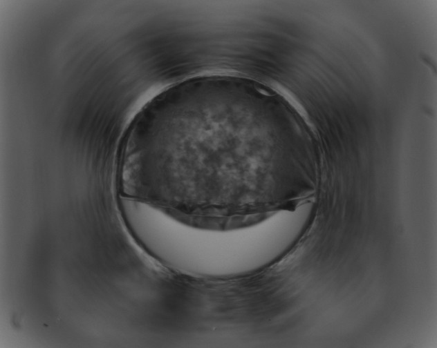 X0000093151245200710171344