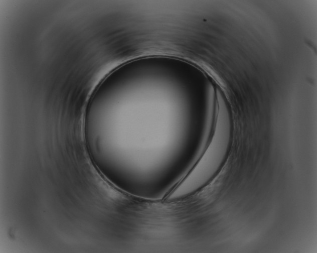 X0000093151246200710171344