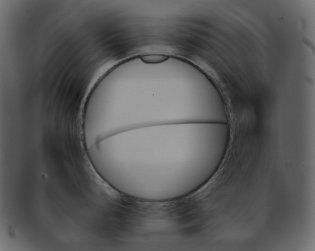 X0000093151248200710171344