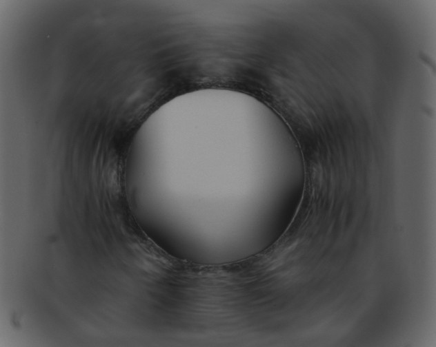 X0000093151250200710171343