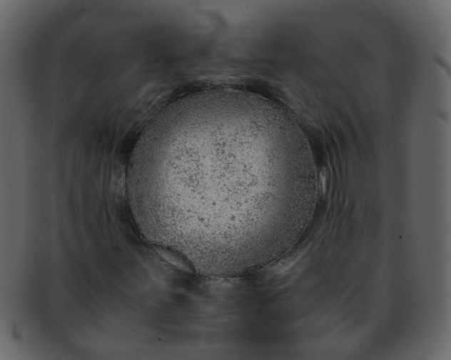 X0000093151251200710171343