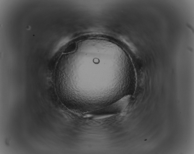 X0000093151255200710171343