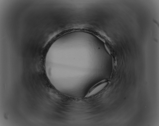 X0000093151256200710171343