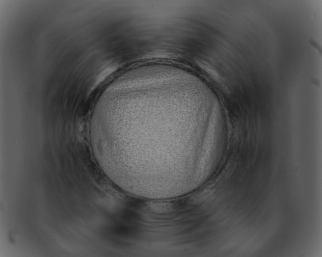 X0000093151258200710171343