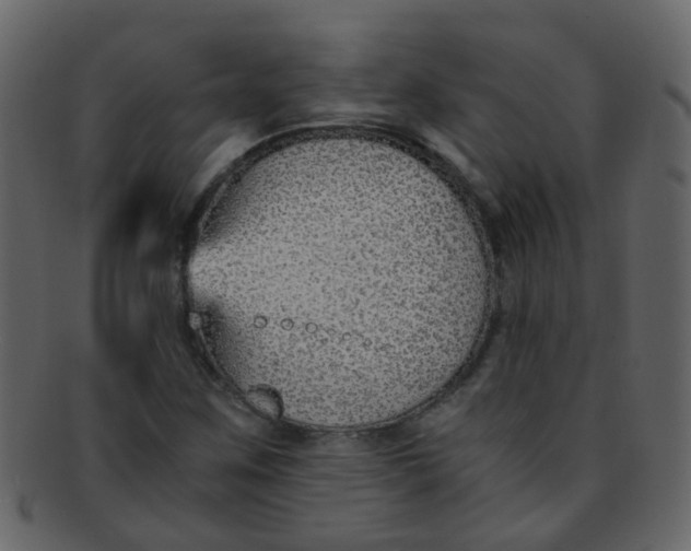 X0000093151259200710171343