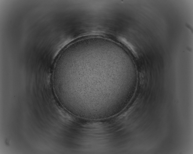 X0000093151260200710171343