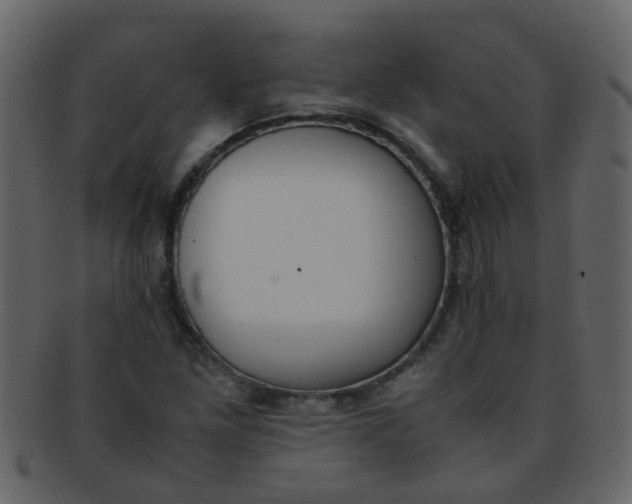 X0000093151261200710171343