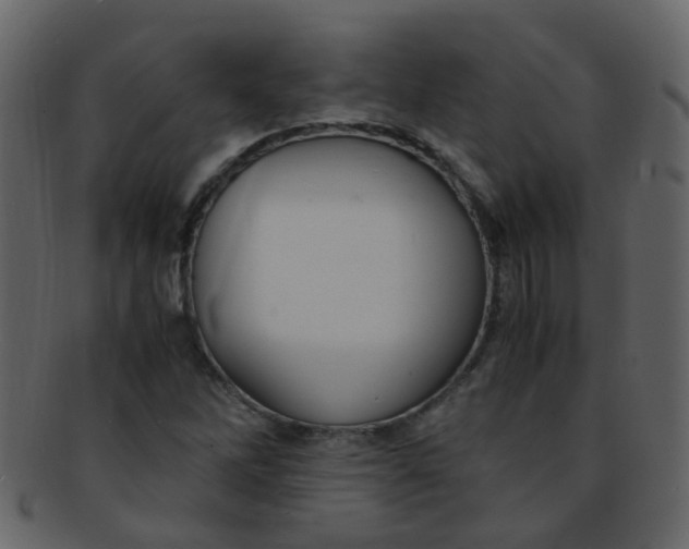 X0000093151262200710171343