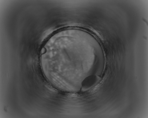 X0000093151263200710171343