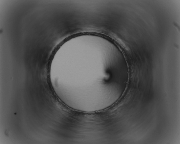 X0000093151264200710171343