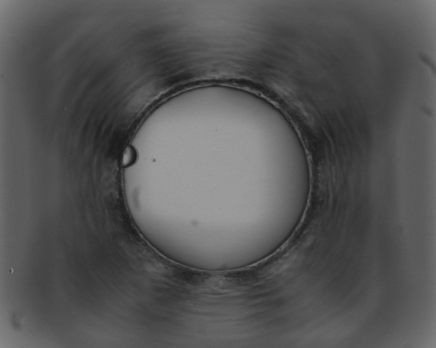 X0000093151265200710171343