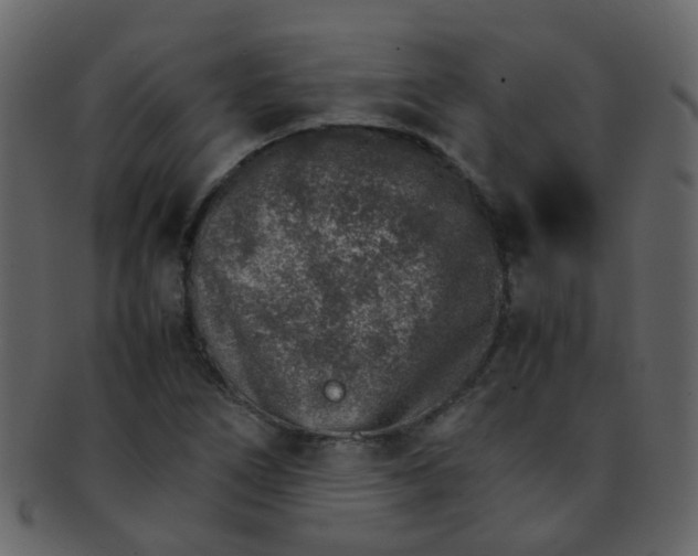 X0000093151266200710171343