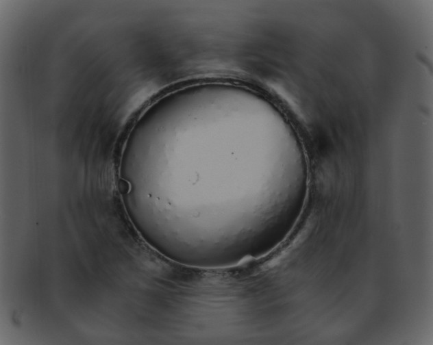 X0000093151267200710171343